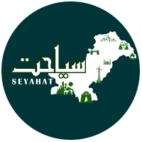 05_Logo_Seyahat